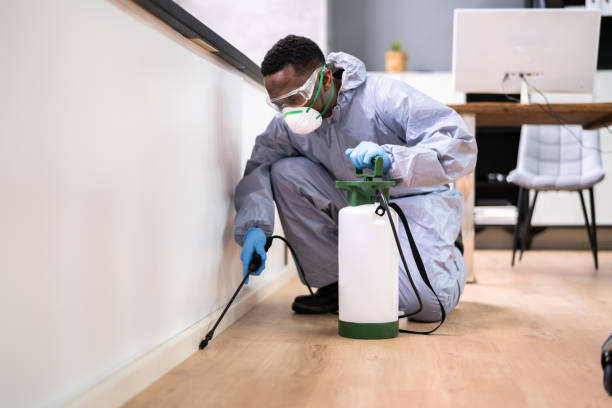 Best Fumigation Services  in Pico Rivera, CA